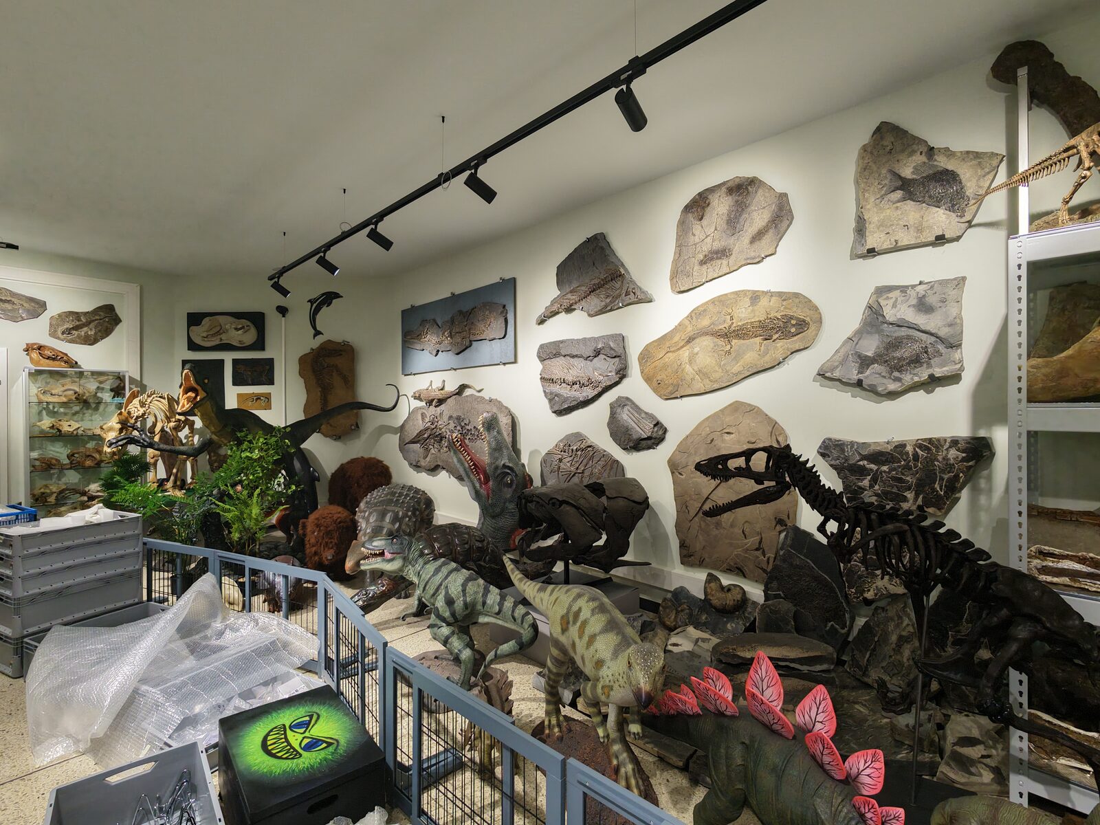 Saurier-Bereich mit T-Rex und Stegosaurus