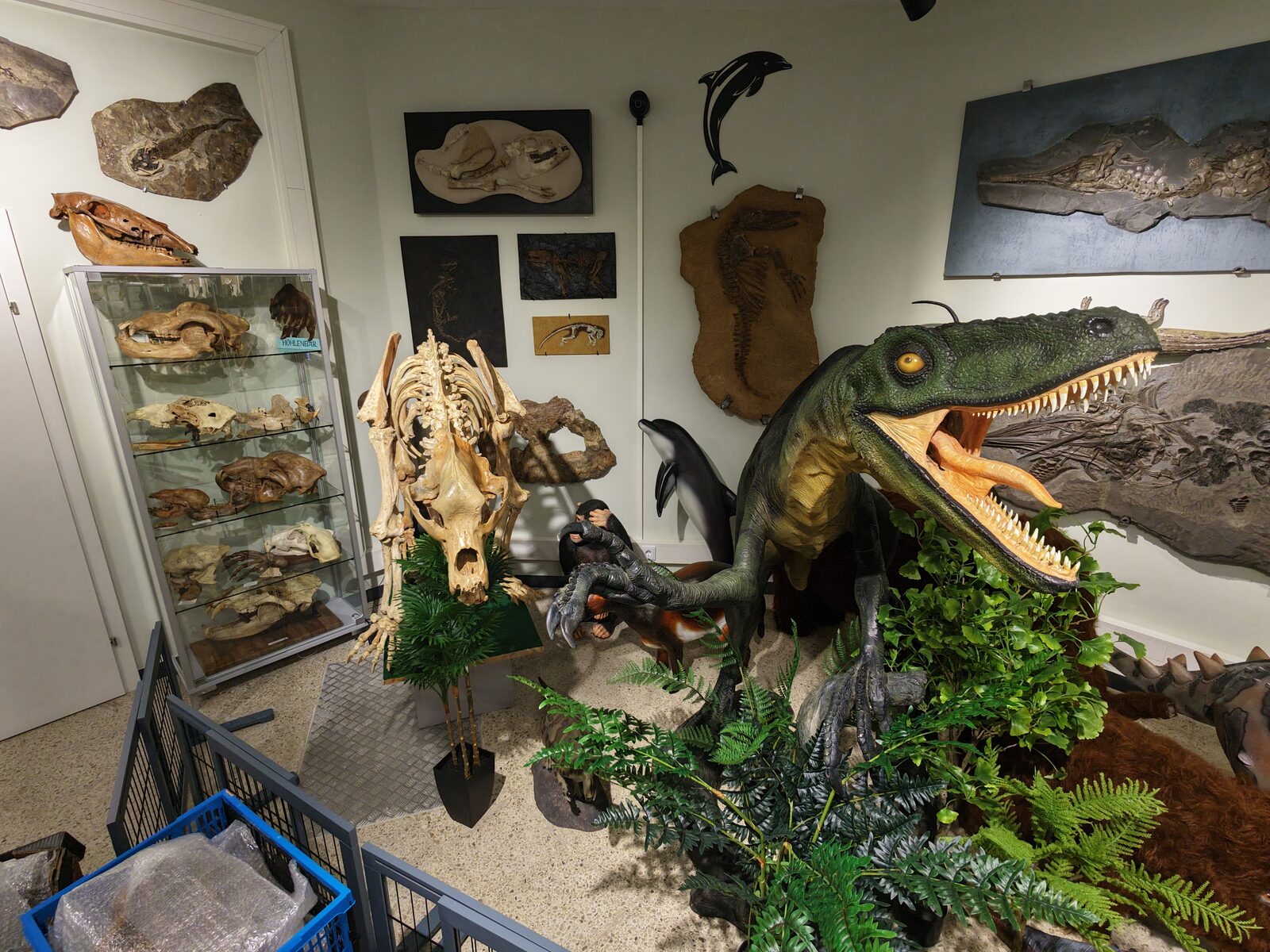 Velociraptor und Säugetierschädel